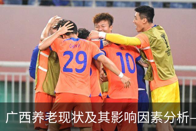 广西养老现状及其影响因素分析——以天津退休夫妇的经历为例